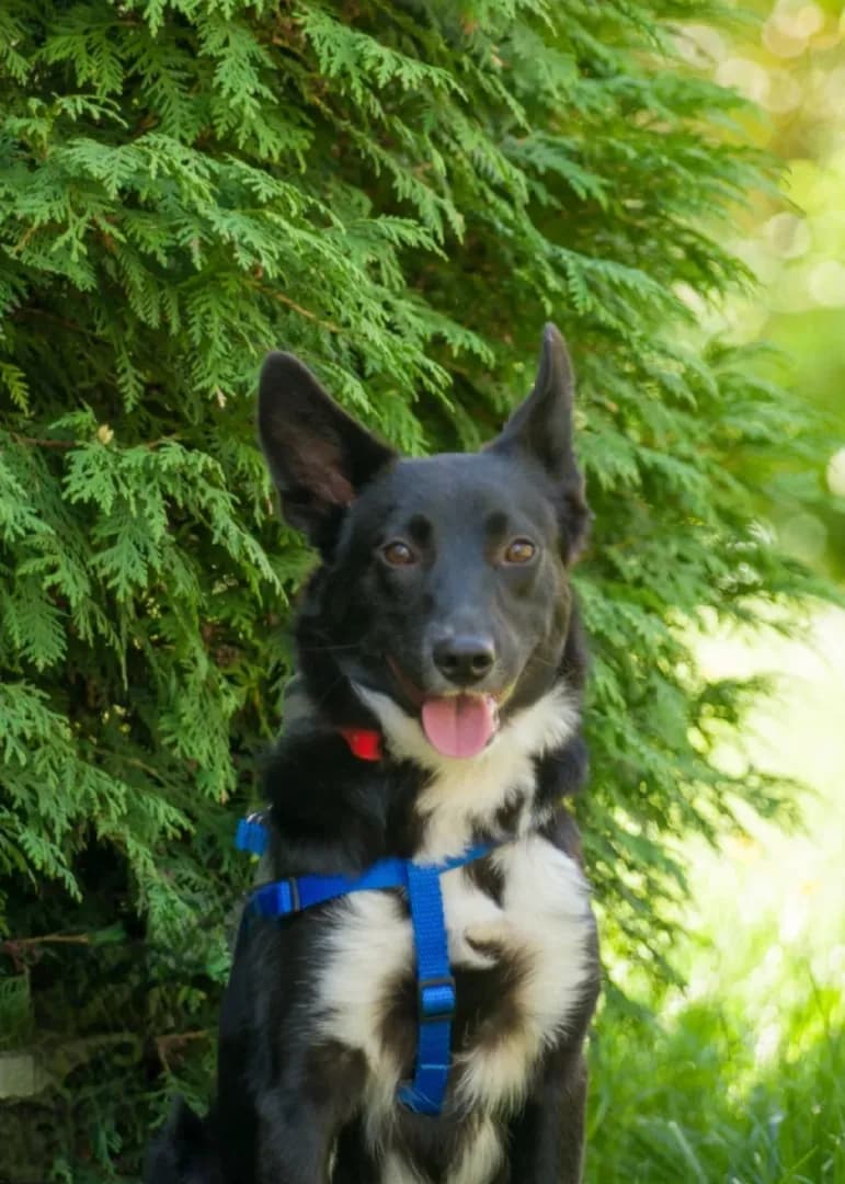 carousel-image-mobile-3