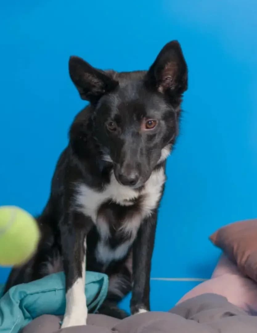 carousel-image-mobile-5