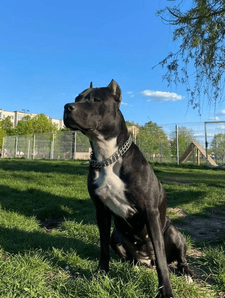 carousel-image-mobile-1