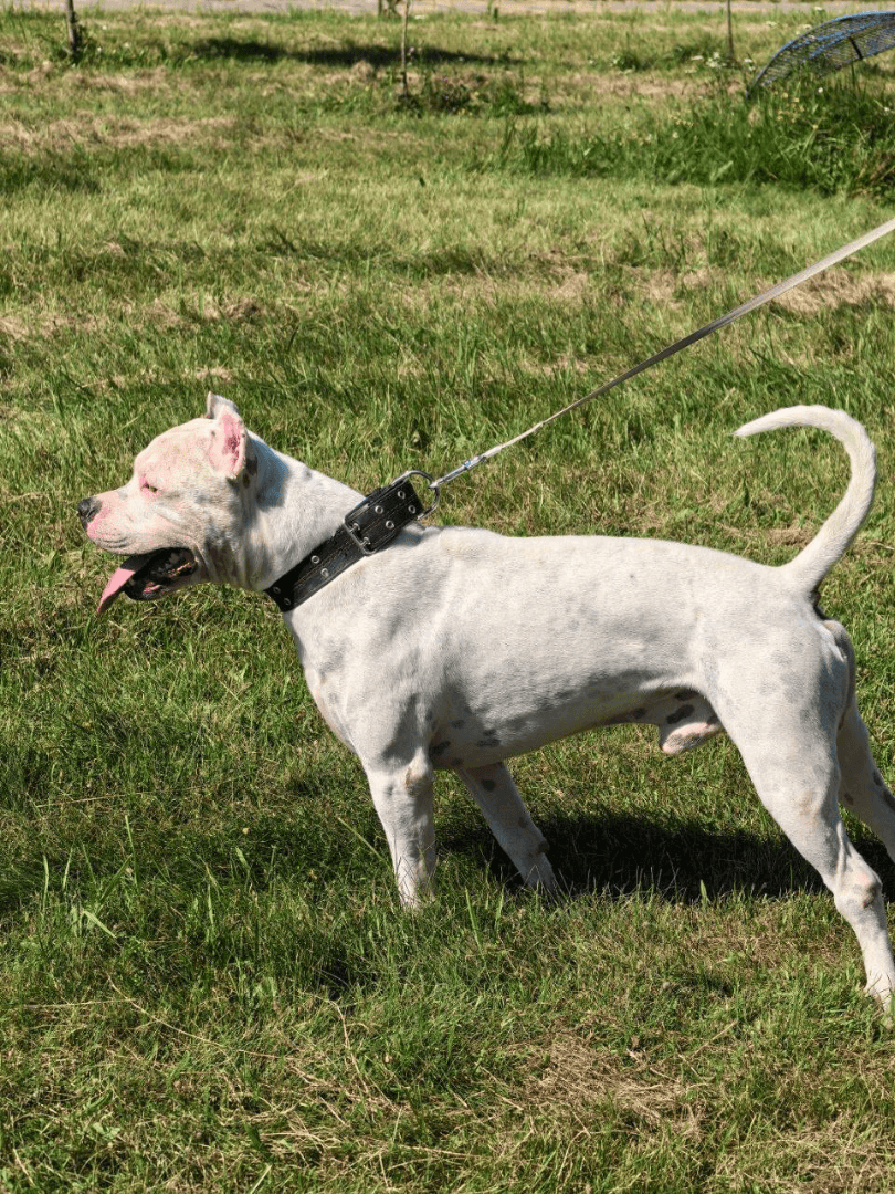 carousel-image-mobile-2