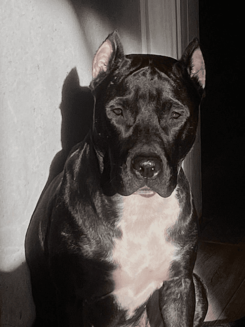 carousel-image-mobile-3