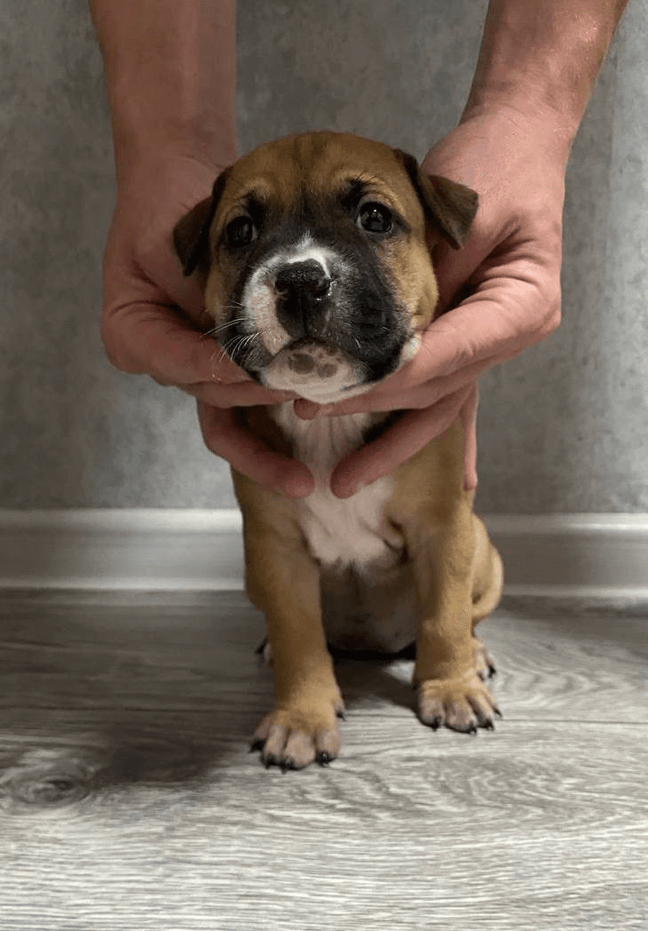 carousel-image-mobile-4