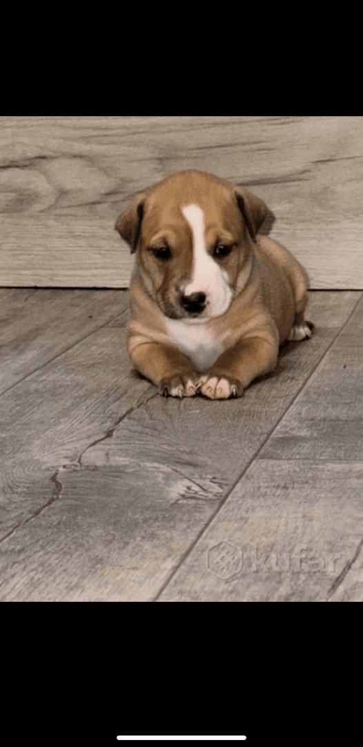 carousel-image-mobile-5