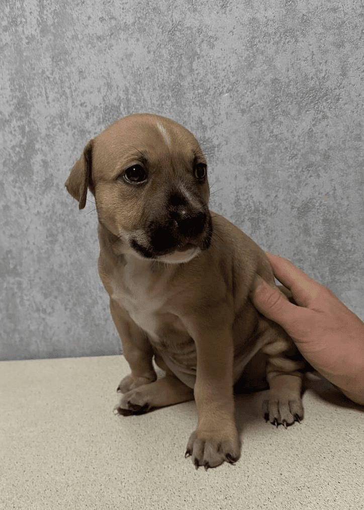 carousel-image-mobile-6