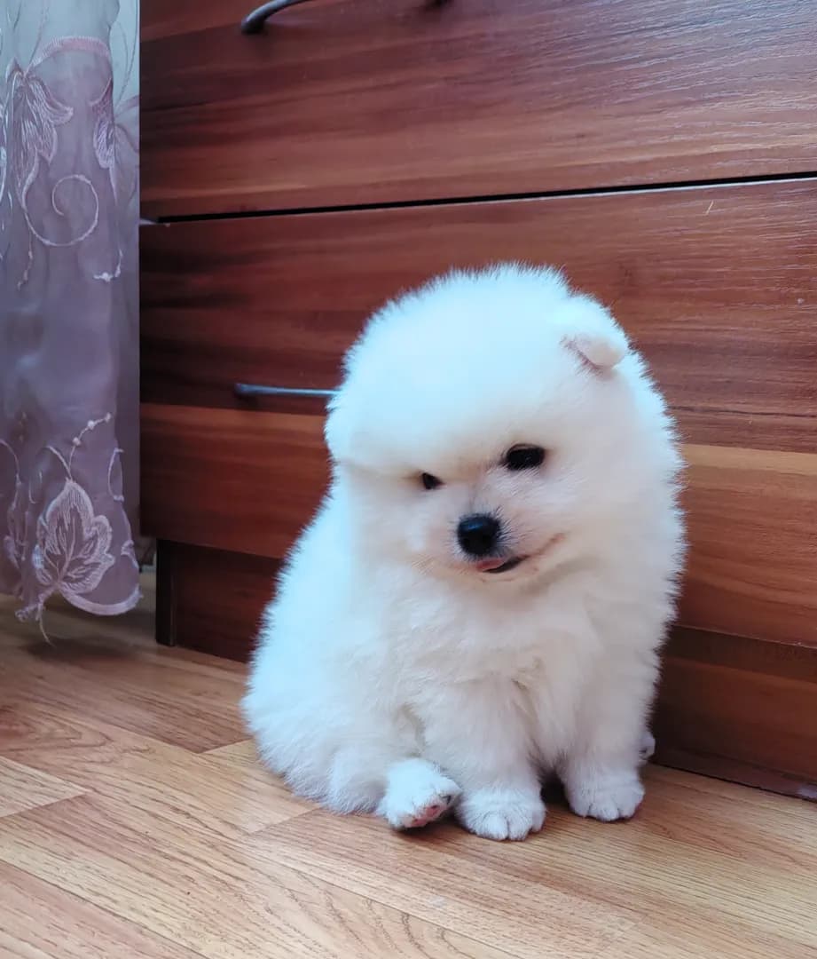 carousel-image-mobile-1