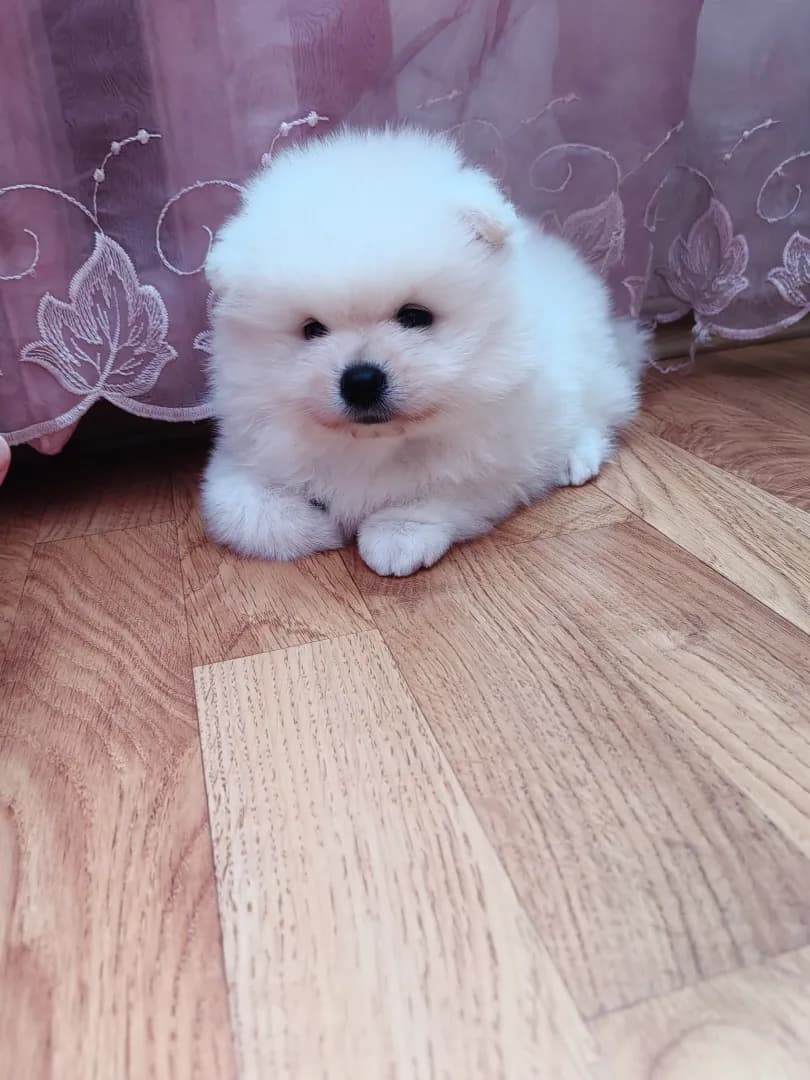 carousel-image-mobile-2