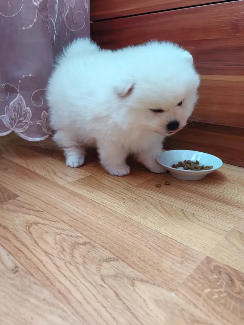 carousel-image-mobile-3