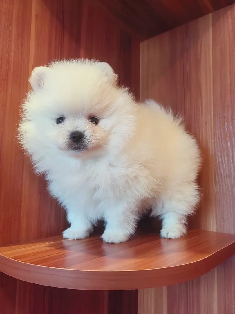 carousel-image-mobile-1