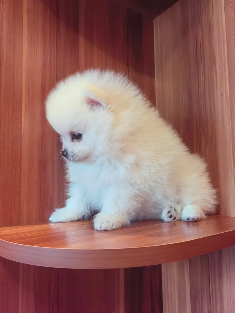 carousel-image-mobile-2