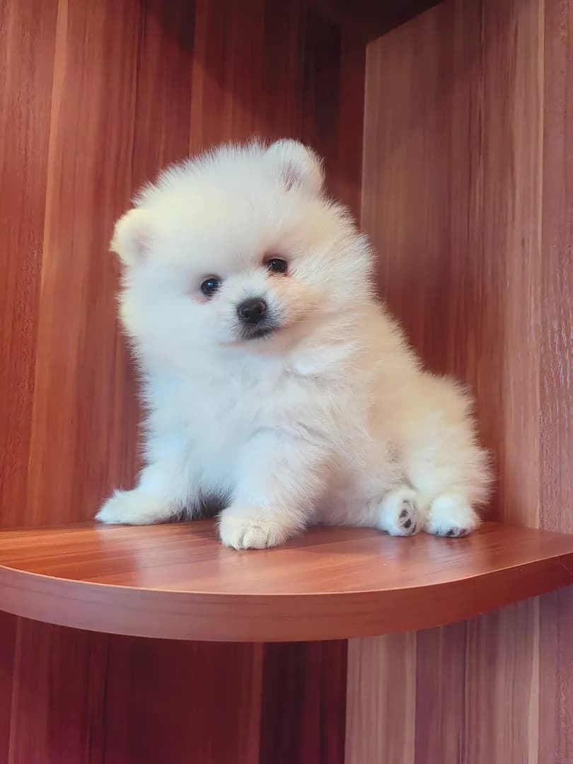 carousel-image-mobile-3