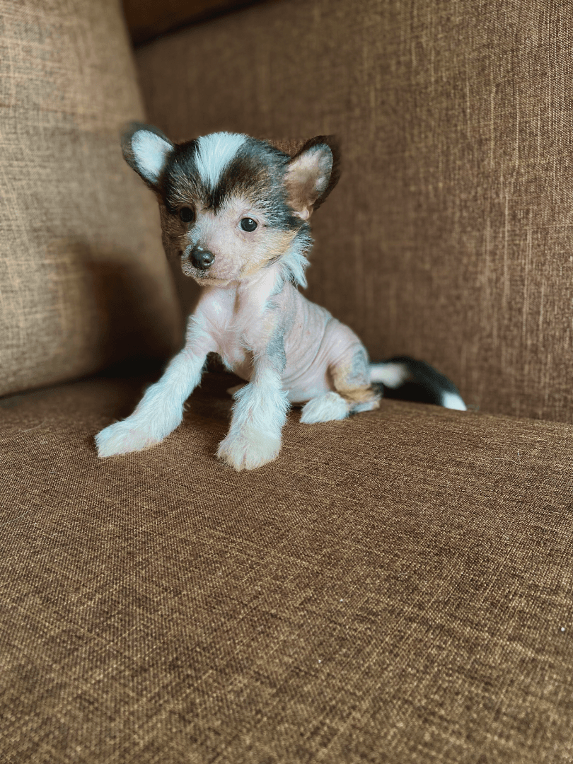 carousel-image-mobile-1