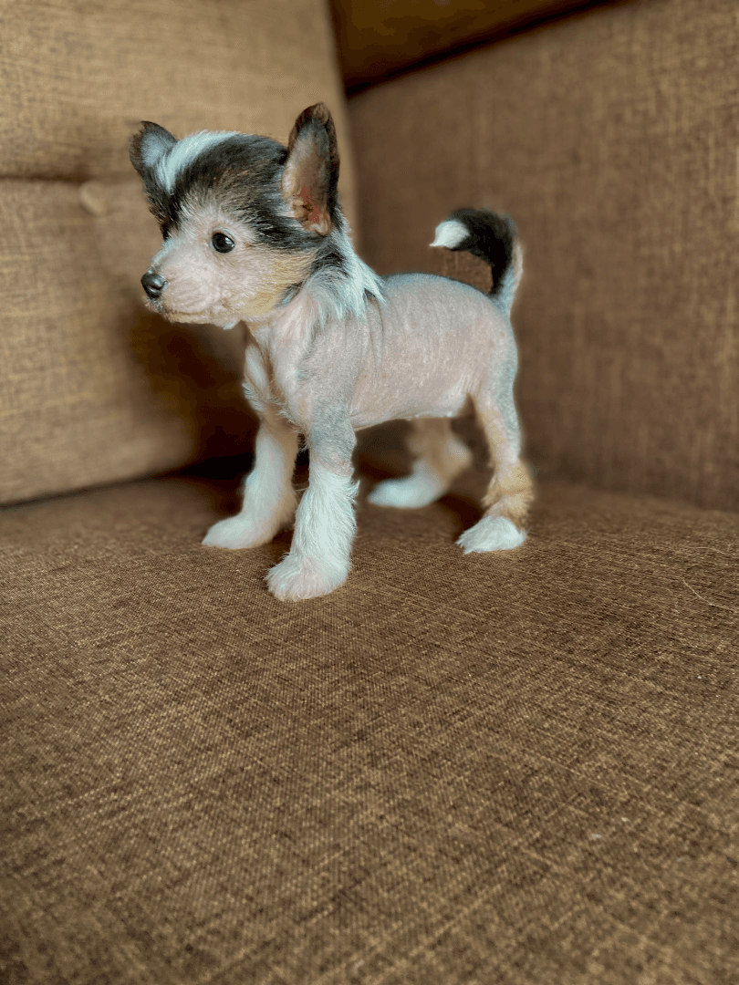 carousel-image-mobile-2