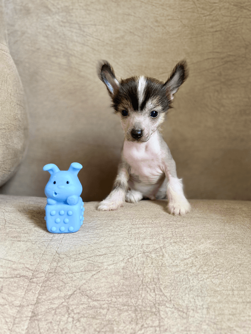 carousel-image-mobile-3