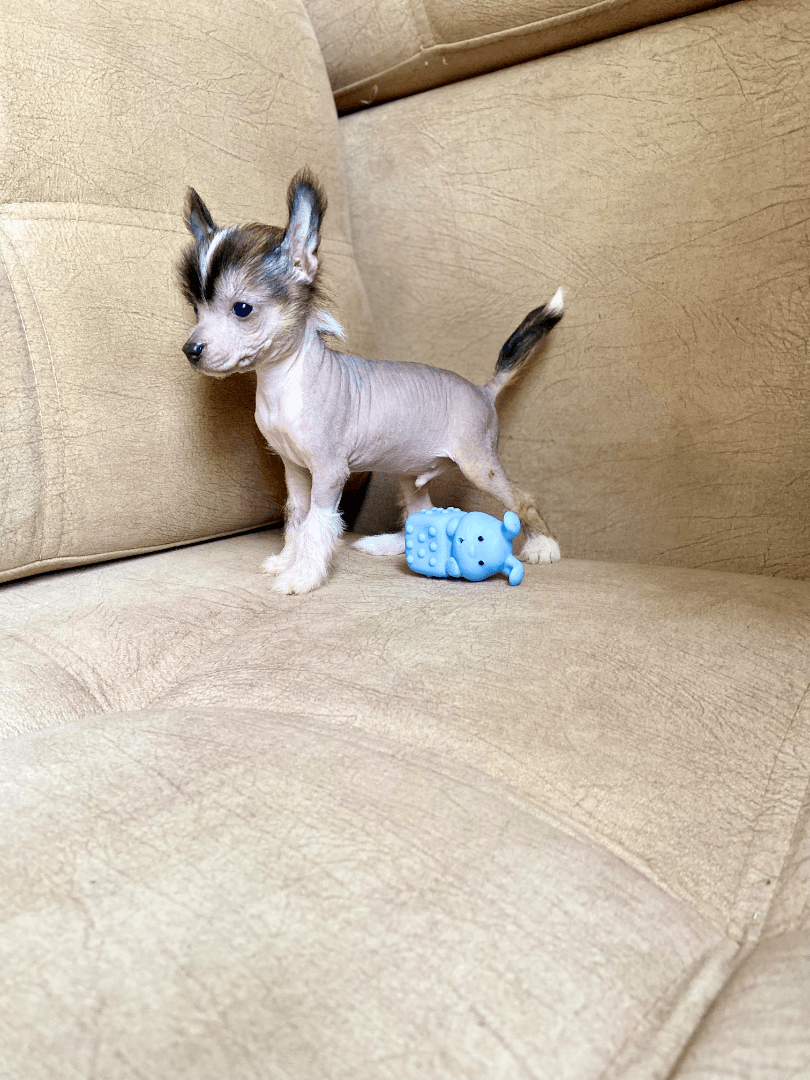 carousel-image-mobile-4