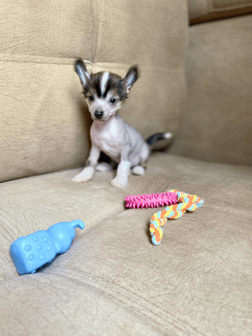 carousel-image-mobile-5