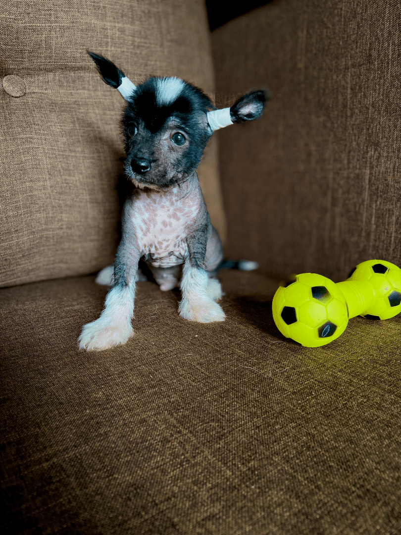 carousel-image-mobile-6