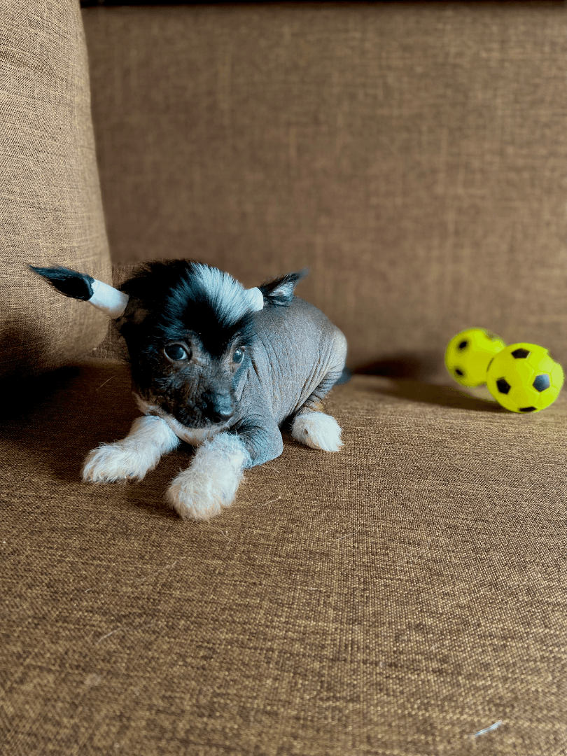 carousel-image-mobile-7