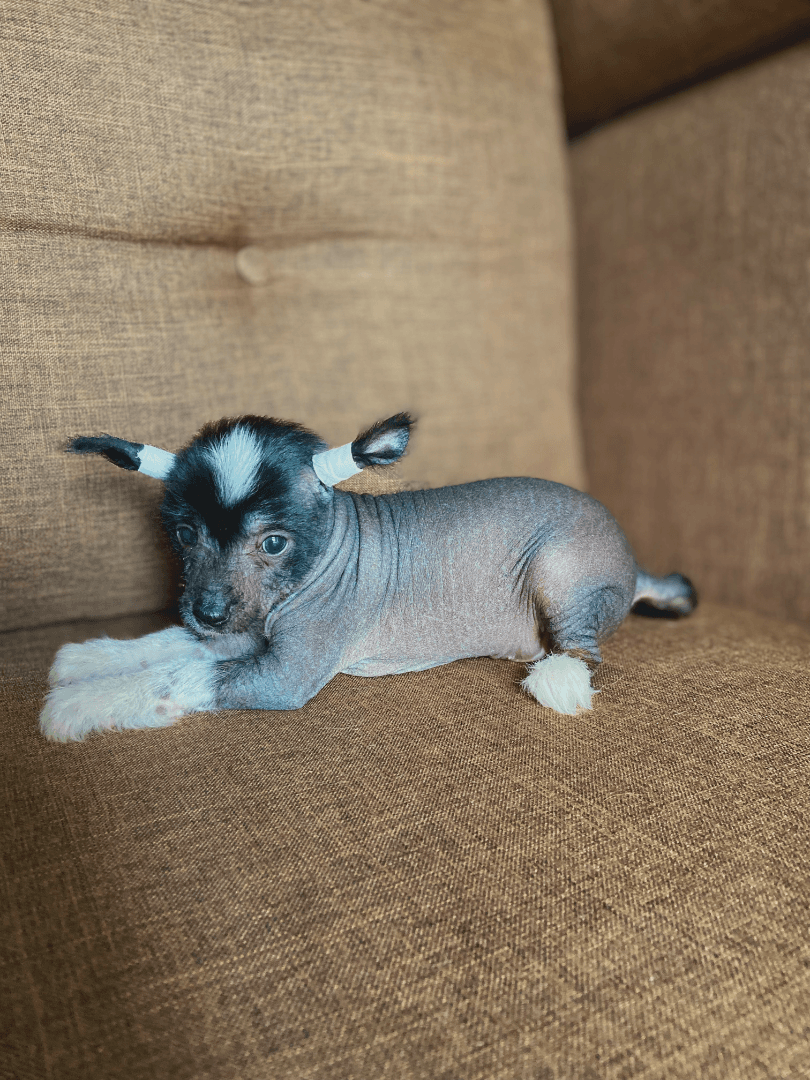 carousel-image-mobile-8