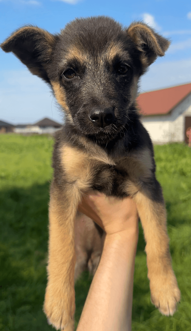 carousel-image-mobile-1