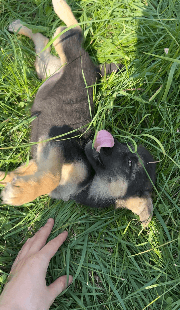 carousel-image-mobile-2