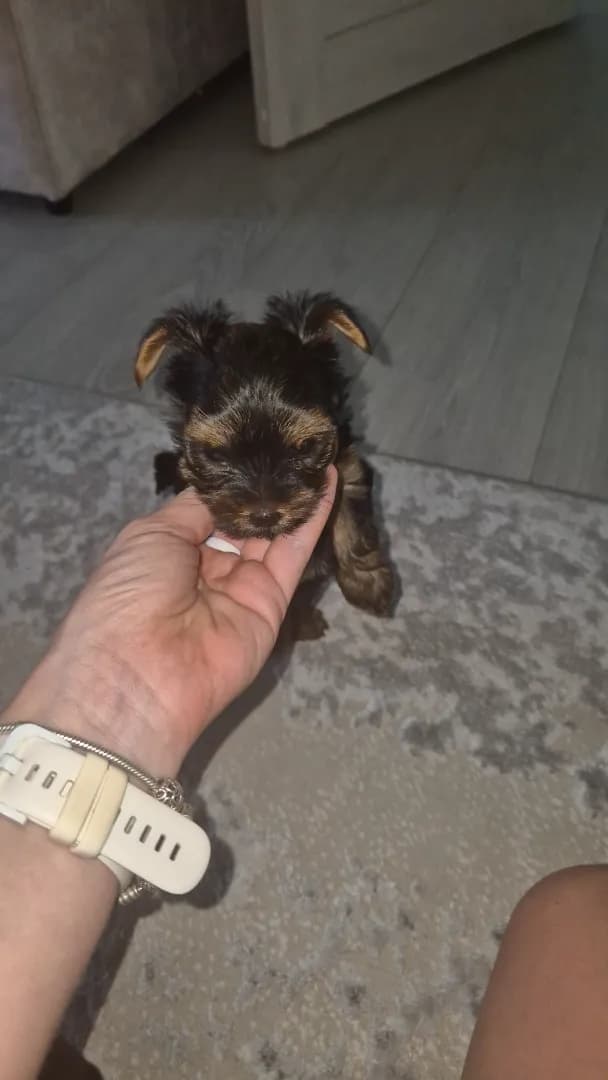 carousel-image-mobile-3