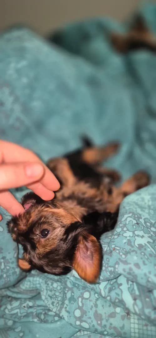 carousel-image-mobile-4