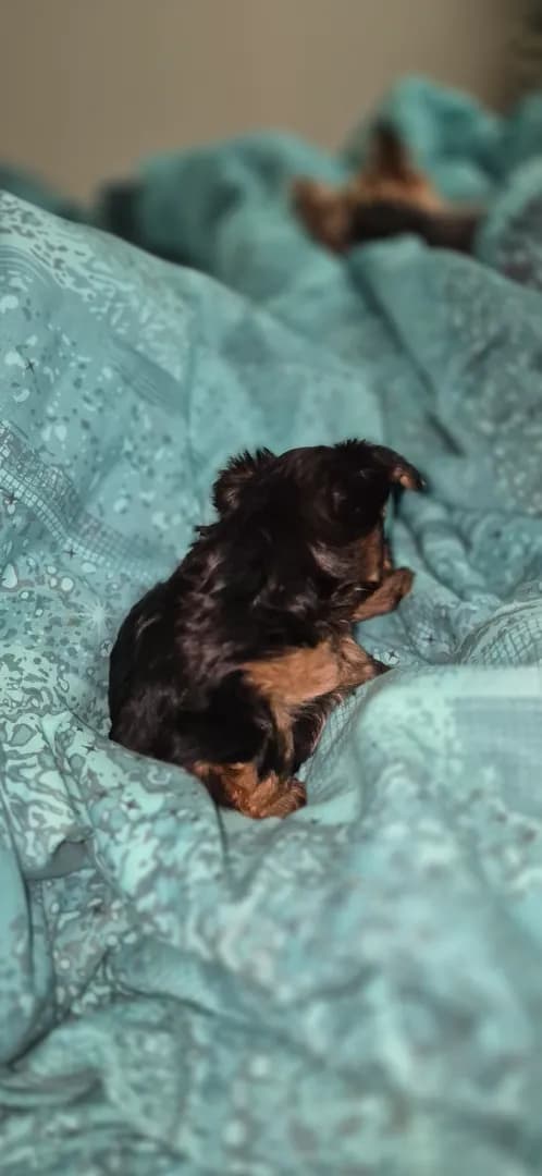 carousel-image-mobile-5