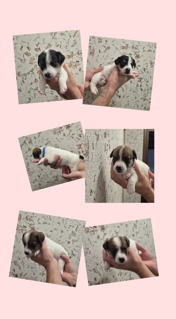 carousel-image-mobile-1