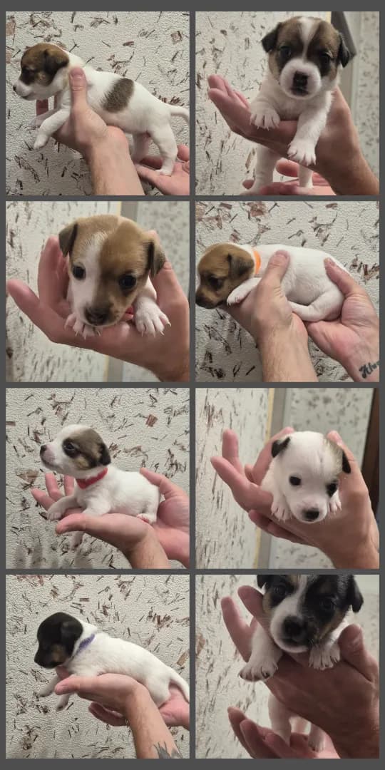 carousel-image-mobile-2