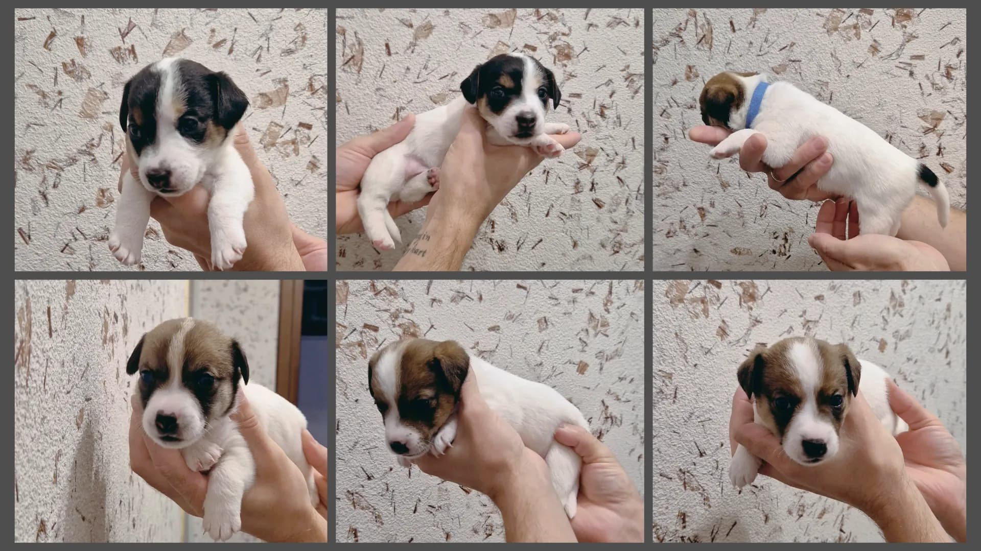 carousel-image-mobile-3