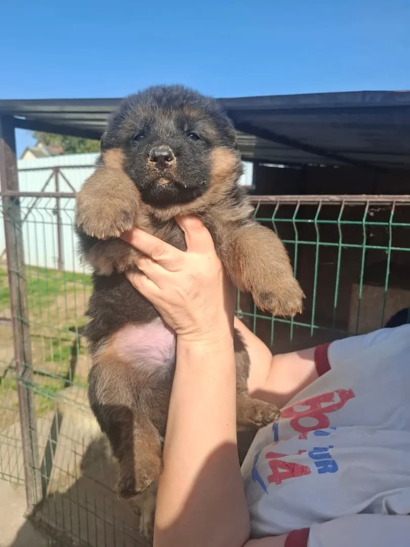 carousel-image-mobile-1