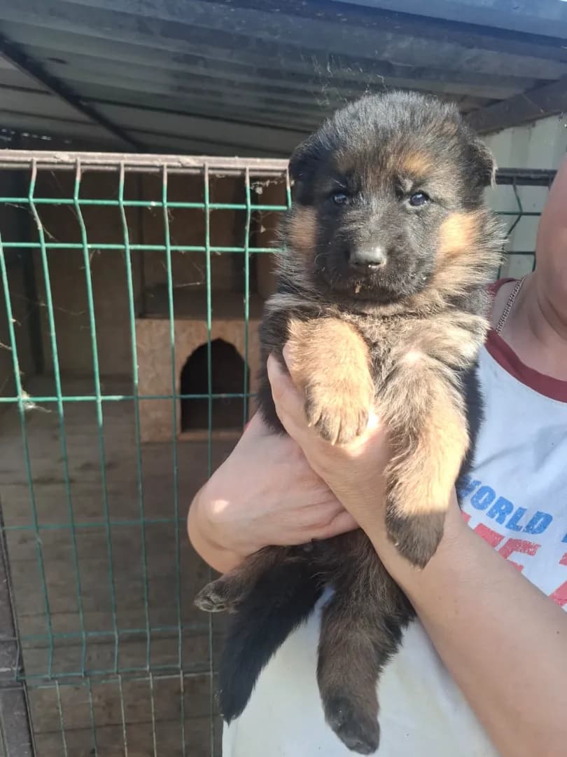 carousel-image-mobile-2