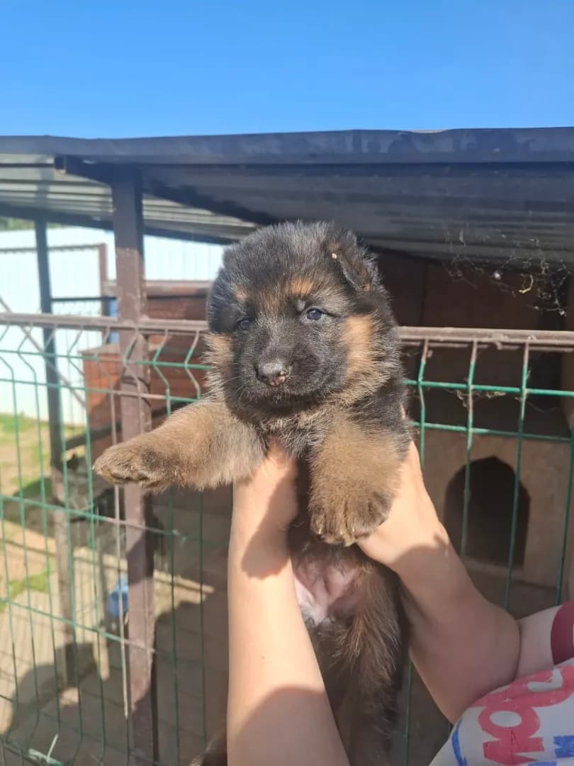 carousel-image-mobile-3