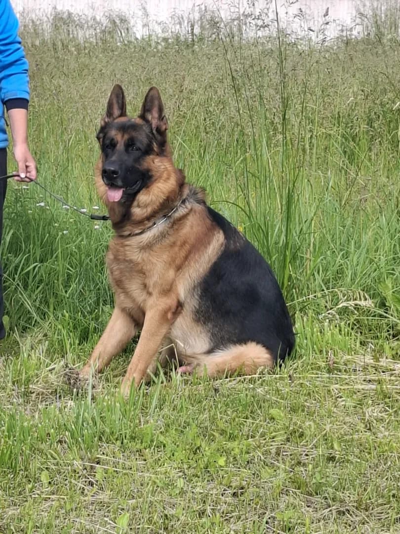 carousel-image-mobile-4