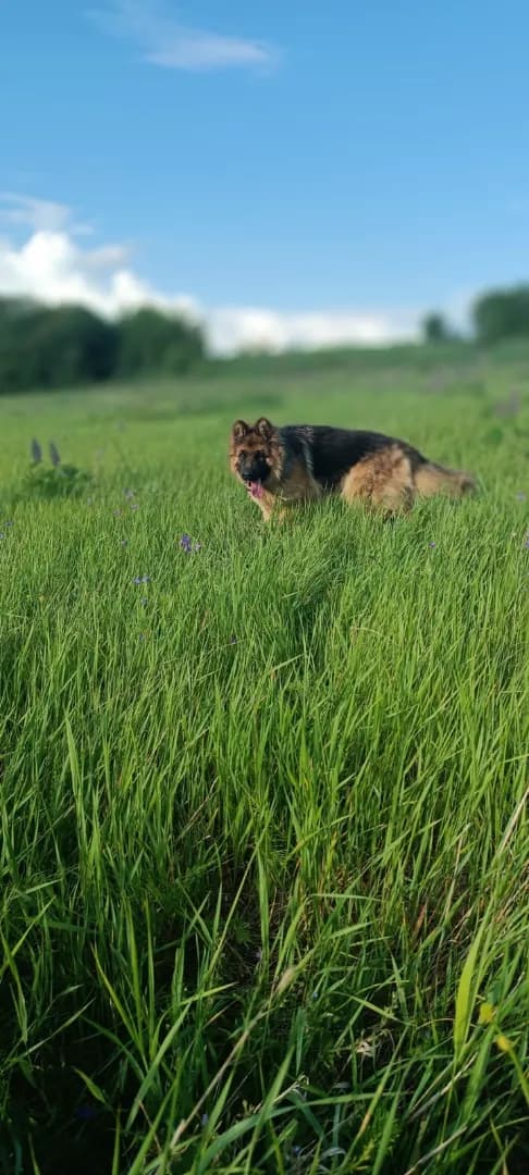 carousel-image-mobile-5