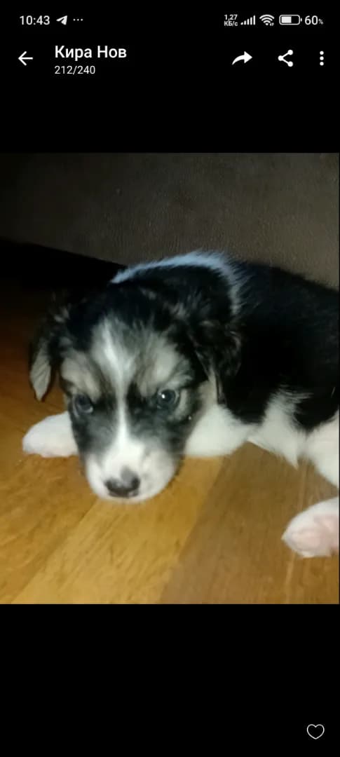 carousel-image-mobile-1