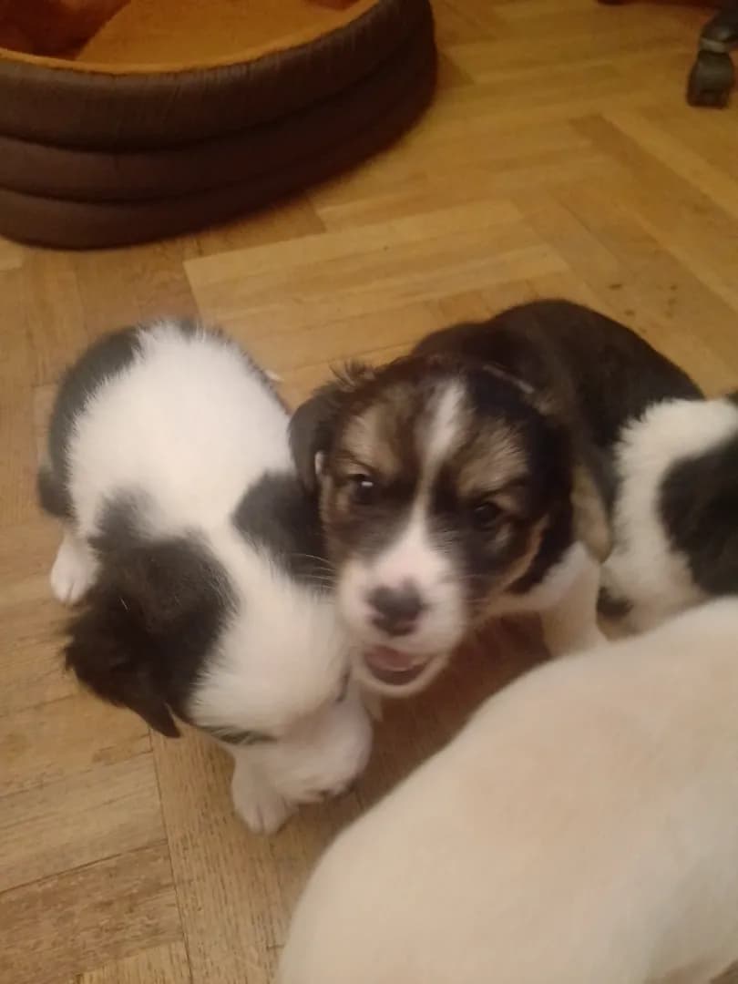 carousel-image-mobile-2