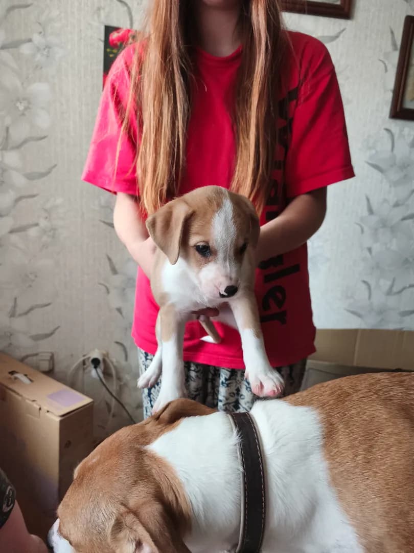 carousel-image-mobile-1