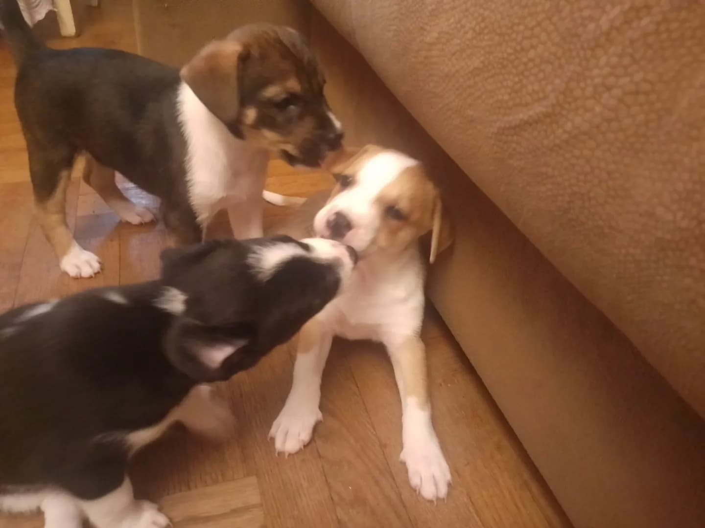 carousel-image-mobile-2