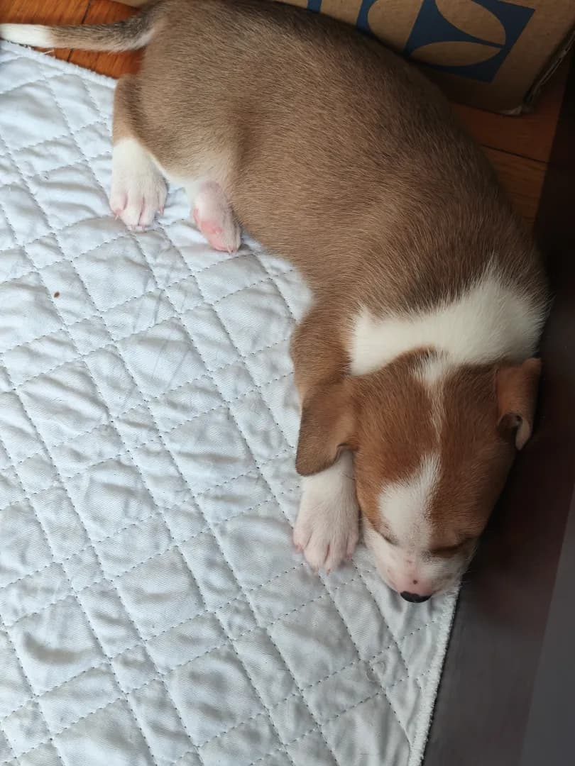 carousel-image-mobile-3