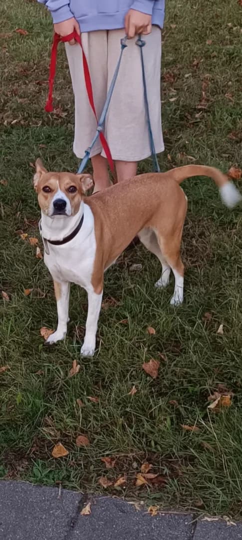 carousel-image-mobile-4