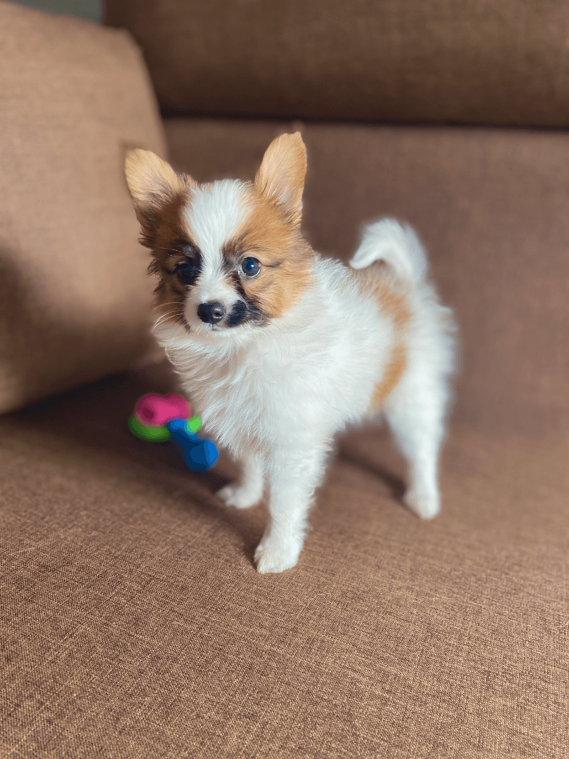 carousel-image-mobile-2