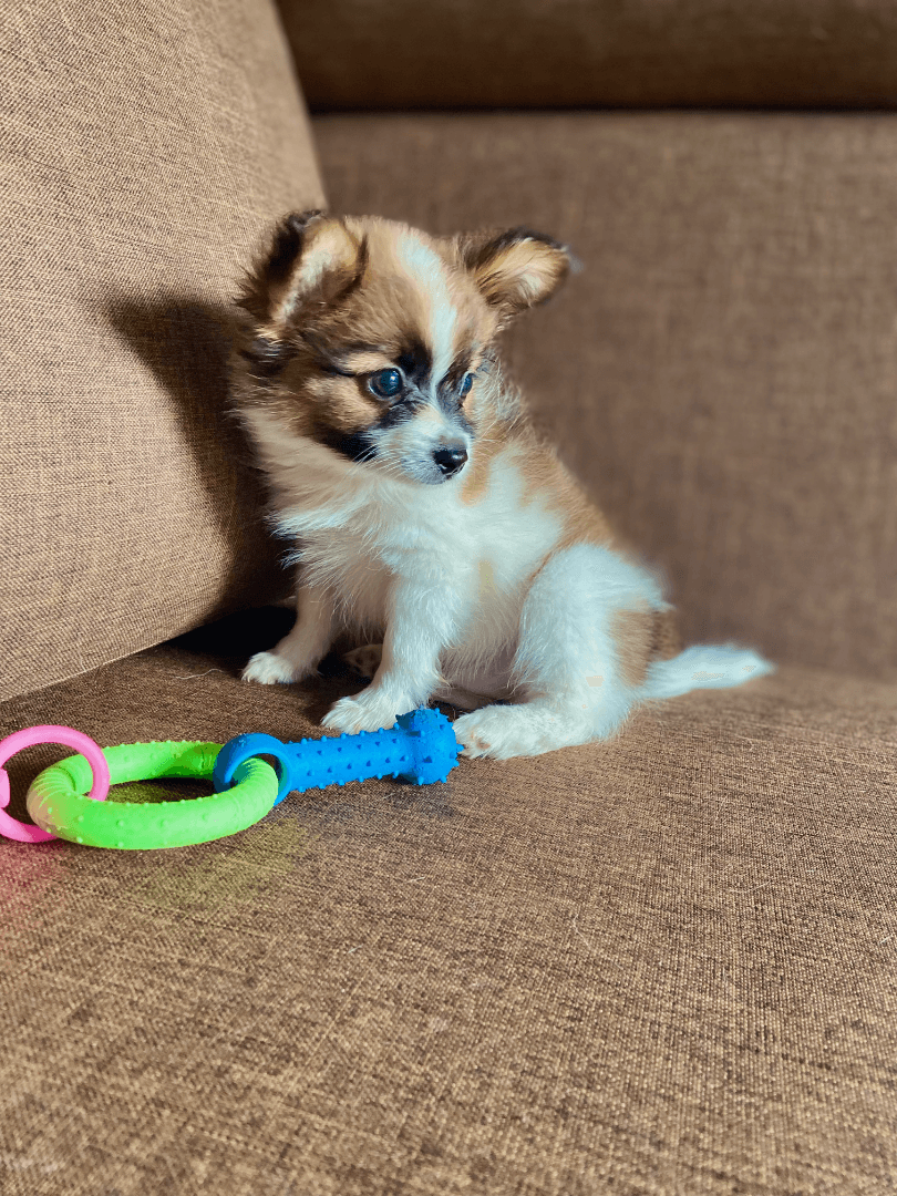 carousel-image-mobile-5