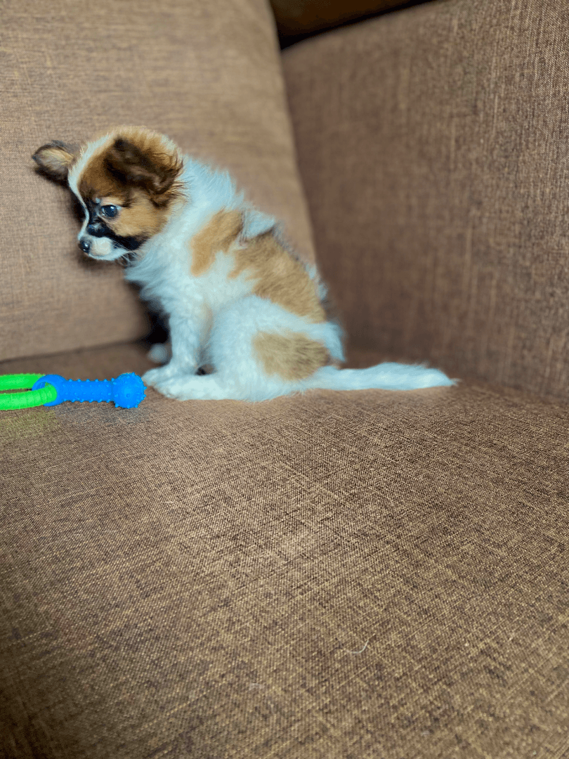 carousel-image-mobile-6