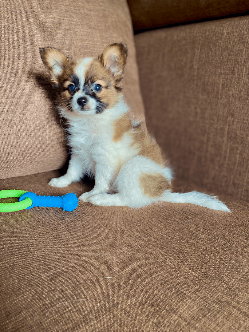 carousel-image-mobile-7