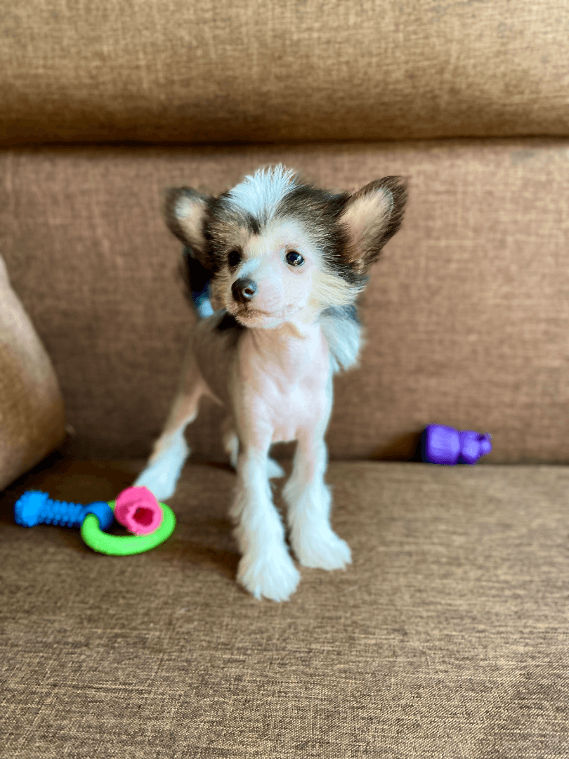 carousel-image-mobile-1