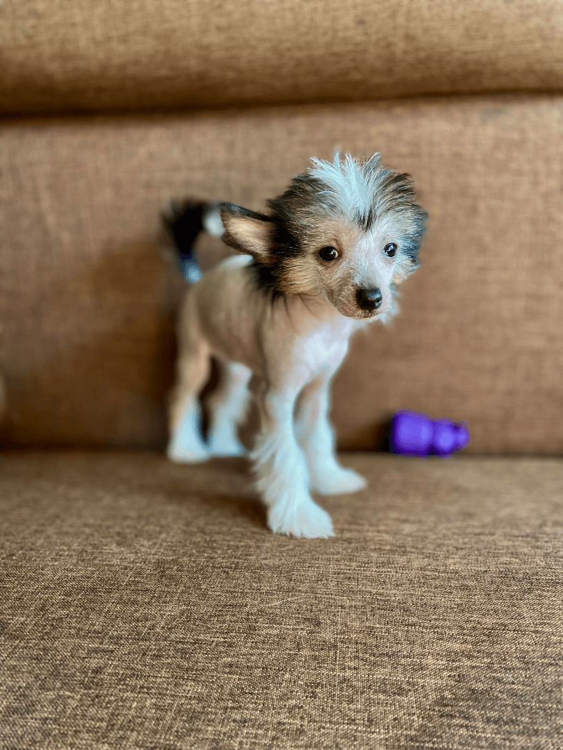 carousel-image-mobile-2