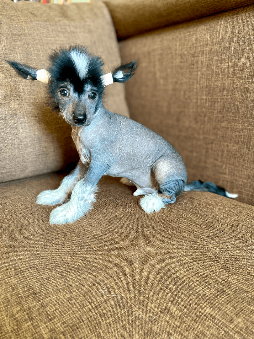 carousel-image-mobile-3