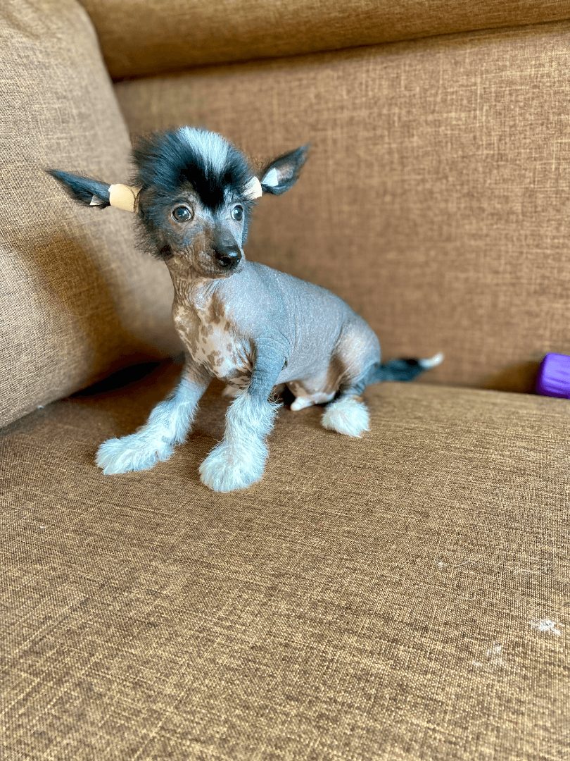 carousel-image-mobile-4