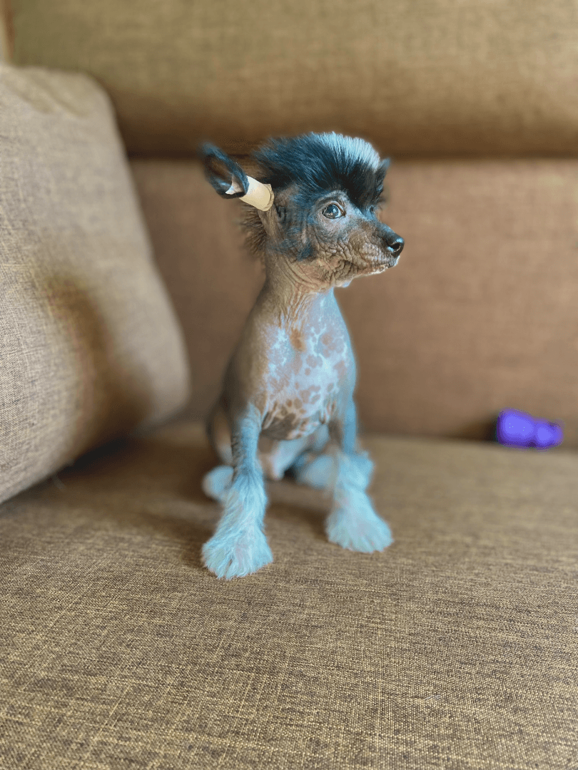 carousel-image-mobile-5